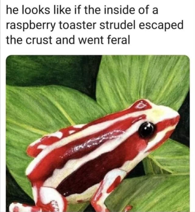 He looks like if the inside of a raspberry toaster strudel escaped the