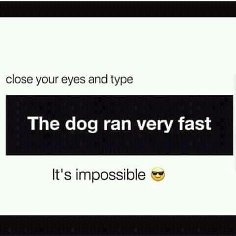 Close Your Eyes And Type The Dog Ran Very Fast It S Impossible