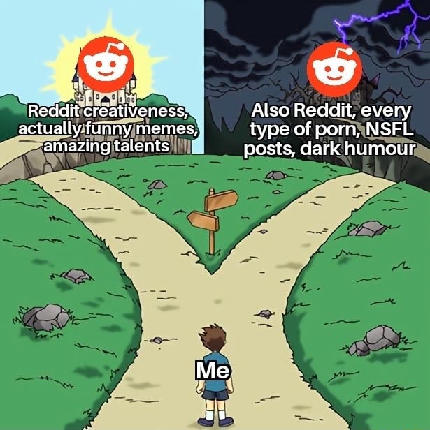Reddit ereativeness, Also Reddit, every actually funny memes, type of porn,  NSFL amazing talents posts, dark humour Me 