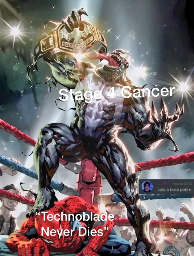 Stage 4 Cancer Technoblade Never Die   B0d315801ba108d712a9908690c1d723b0b5ae6682492837c325ae582b171127 1 