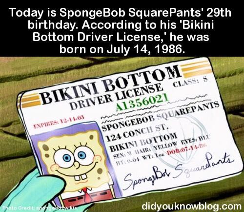 Today is SpongeBob SquarePants' 29th birthday. According to his 'Bikini ...