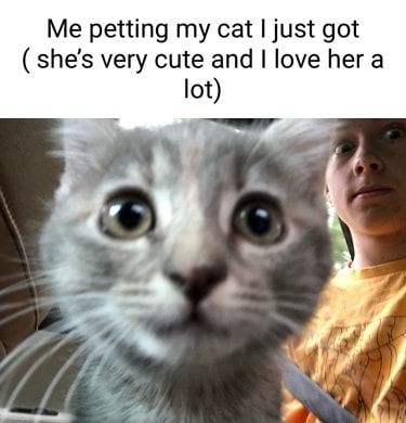 Me petting my cat I just got (she's very cute and I love her a lot ...