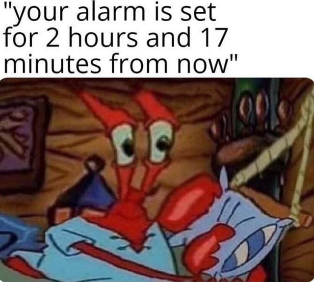 set alarm for 20 minutes