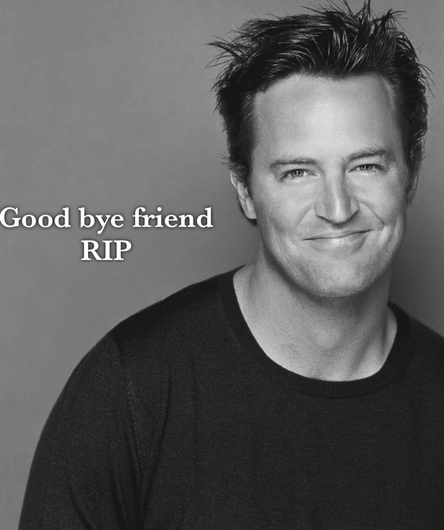 SS Good bye friend RIP - iFunny