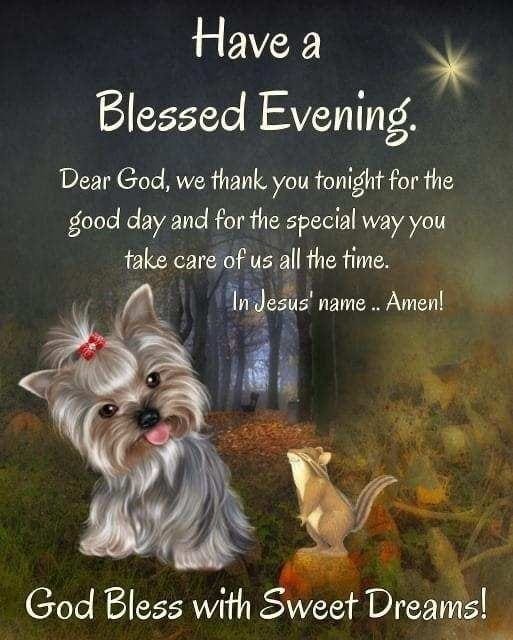 Have A Blessed Evening Dear God We Thank You Tonight For The Good Day And For The Special Way You Take Care Of Us All The Time Name God Bless With Sweet Have A Blessed Evening Dear God We Thank You Tonight For The Good Day And For The Special Way You Take Care Of Us All The Time Name God Bless With Sweet