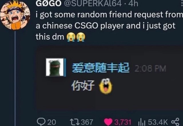 GOGO @SUPERKALGE got some random friend request from a chinese CSGO ...