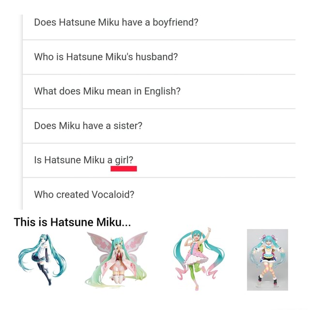 does-hatsune-miku-have-a-boyfriend-who-is-hatsune-miku-s-husband-what