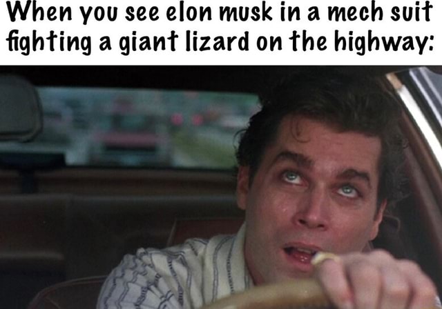 En you see elon musk in mech sui fighting a giant lizard on the highway ...