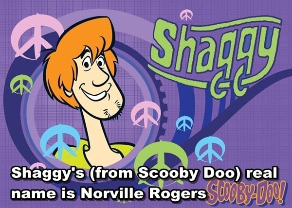 Scooby-Doo and Shaggy