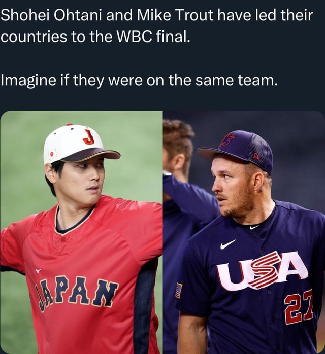 Shohei Ohtani and Mike Trout have led their countries to the WBC final
