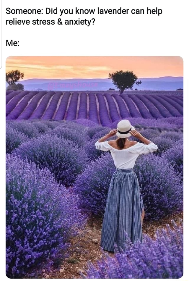 Someone Did you know lavender can help relieve stress & anxiety? iFunny