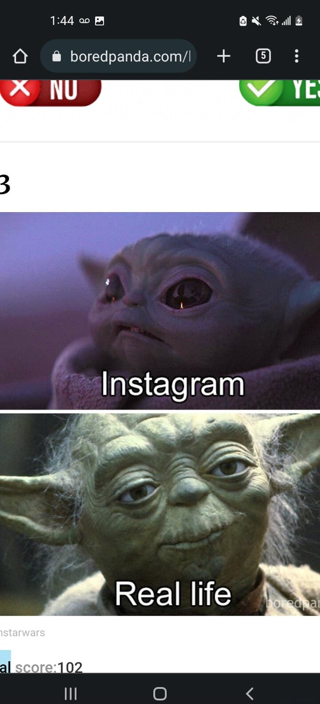 Yoda Fake Id Meme