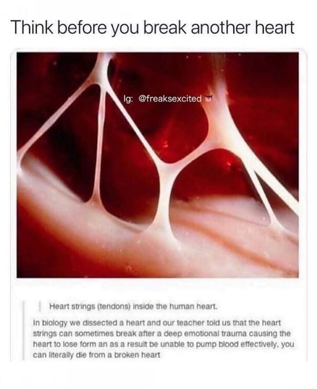 Think before you break another heart lg freaksexcited Heart strings