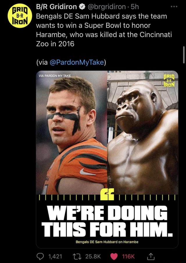 B/R Gridiron on X: Bengals DE Sam Hubbard says the team wants to win a  Super Bowl to honor Harambe, who was killed at the Cincinnati Zoo in 2016  (via @PardonMyTake)  /