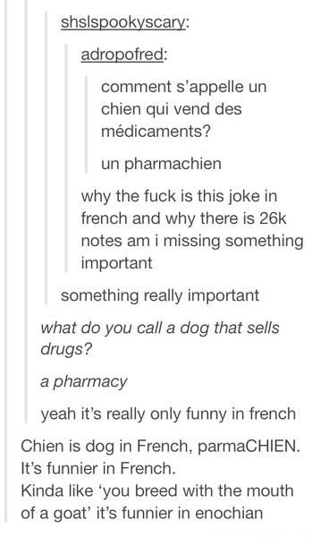 Shslspookyscary: adropofred: comment su0027appelle un chien qui vend 