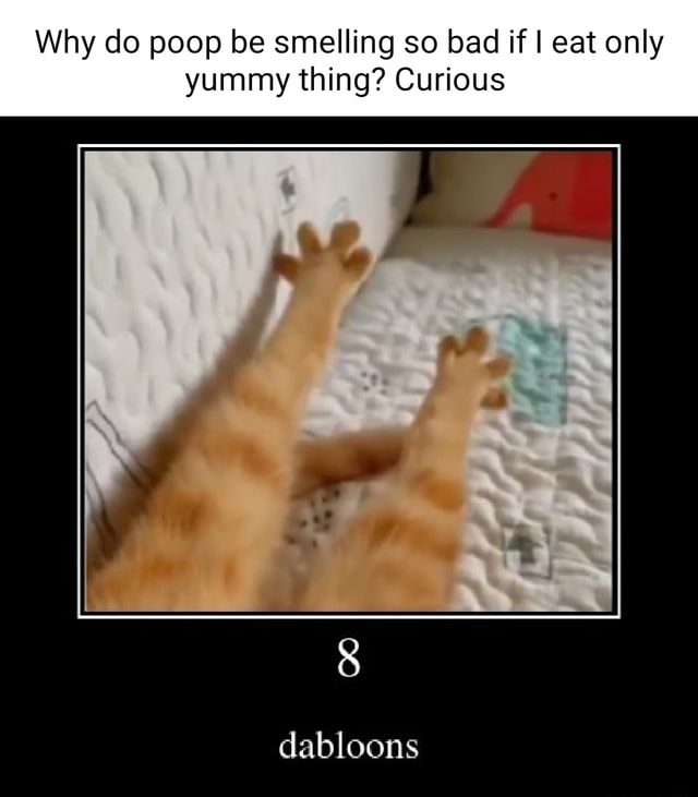 Why do poop be smelling so bad if I eat only yummy thing? Curious