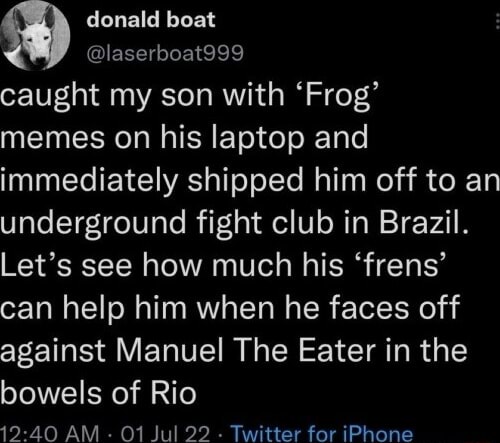 Donald boat @laserboat999 caught my son with 'Frog' memes on his laptop ...