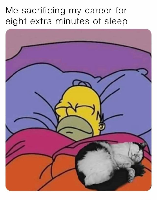 Me sacrificing my career for eight extra minutes of sleep - iFunny
