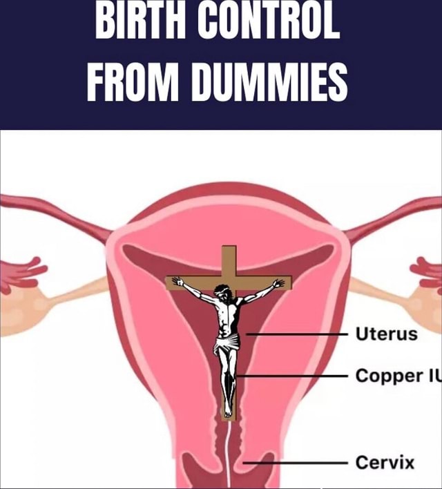 BIRTH CONTROL FROM DUMMIES Uterus Copper IL Cervix iFunny