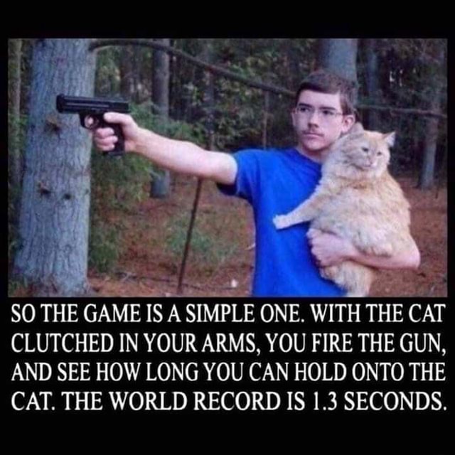 SO THE GAME IS A SIMPLE ONE. WITH THE CAT CLUTCHED IN YOUR ARMS, YOU
