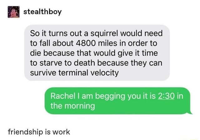 So It Turns Out A Squirrel Would Need To Fall About 4800 Miles In Order To Die Because That Would Give It Time To Starve To Death Because They Can Survive Terminal