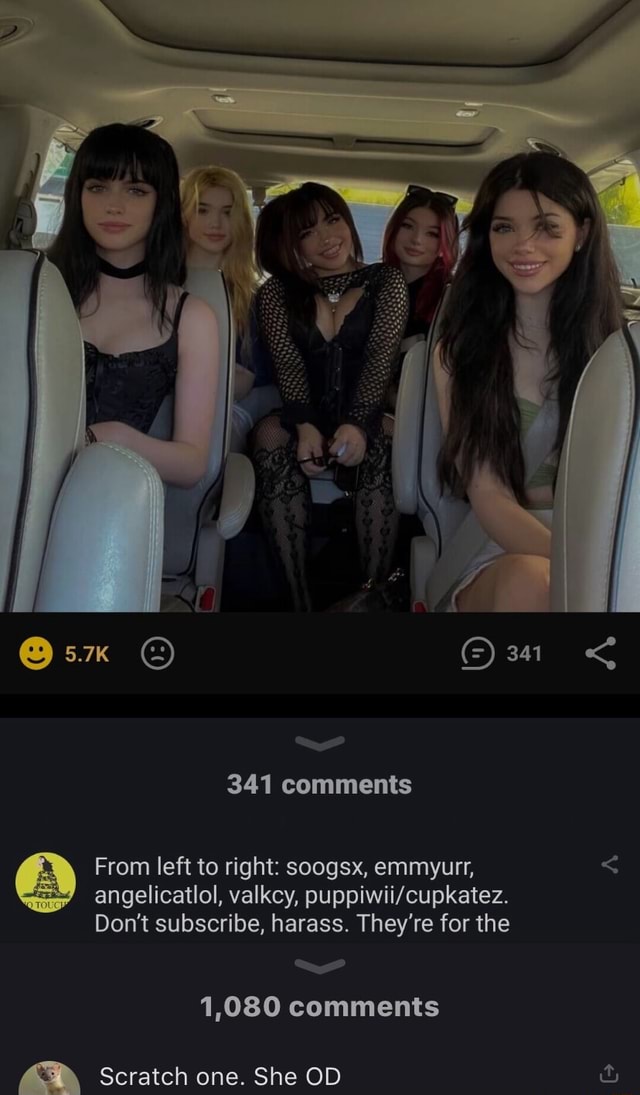 341 comments From left to right soogsx, emmyurr, angelicatlol, valkcy(03)