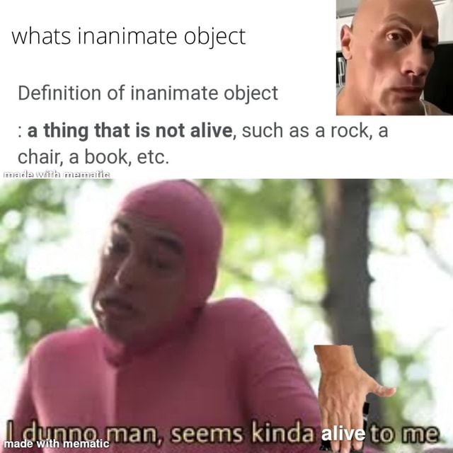 Whats inanimate object Definition of inanimate object thing that is not