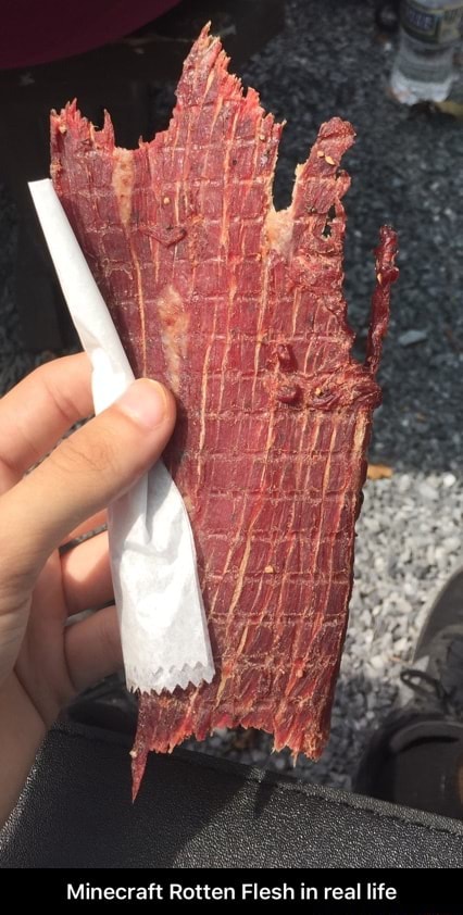 Minecraft Rotten Flesh In Real Life Minecraft Rotten Flesh In Real Life