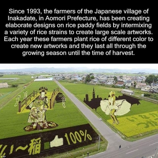 Since 1993, the farmers of the Japanese village of Inakadate, in Aomori ...