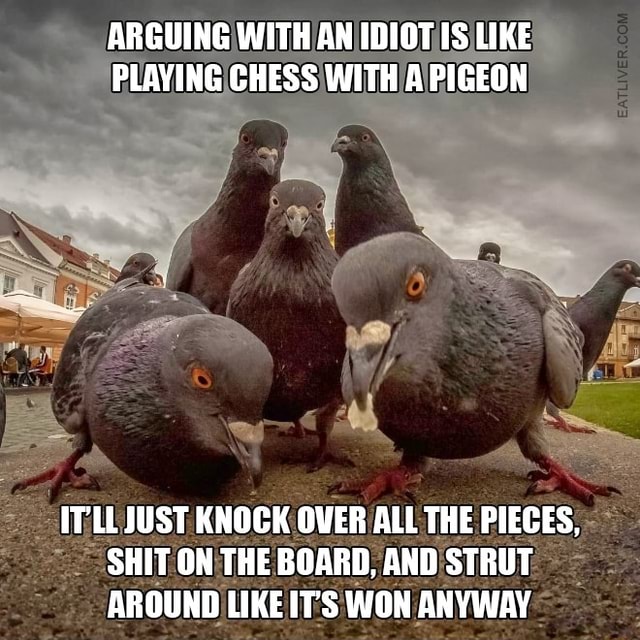 ARGUING WITH AN IDIOT IS LIKE PLAVING CHESS WITH A PIGEON ITLL JUST