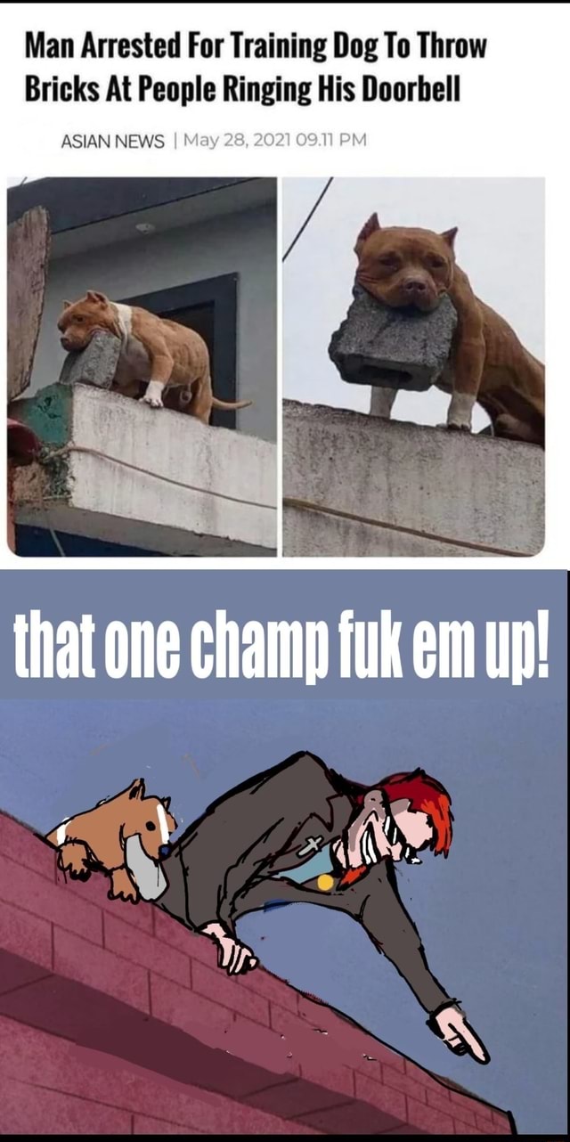 Man Arrested For Training Dog To Throw Bricks At People Ringing His