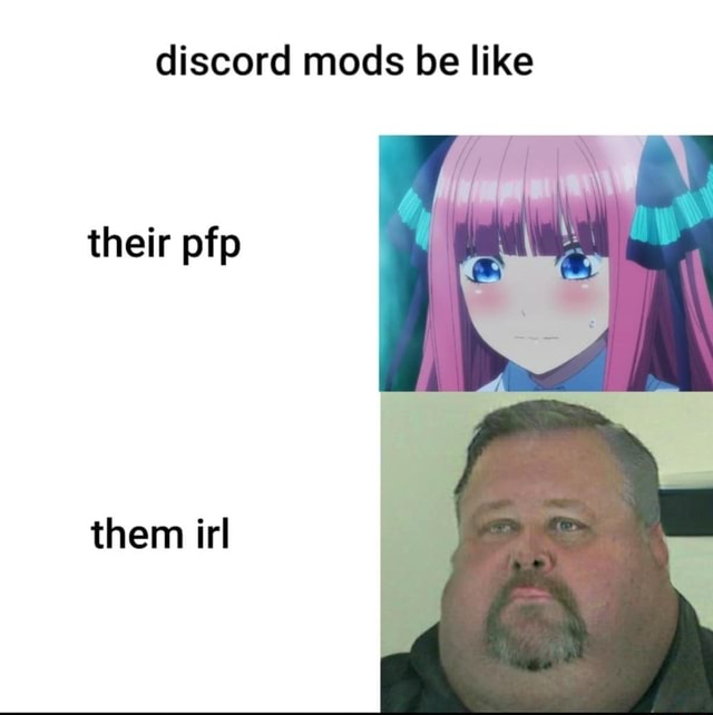 Discord mods be like their pfp them irl - iFunny