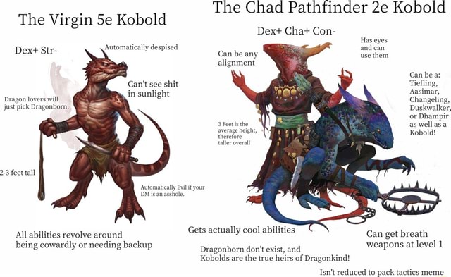 The Chad Pathfinder Kobold Dex+ Chat Con- The Virgin Se Kobold Has Eyes 