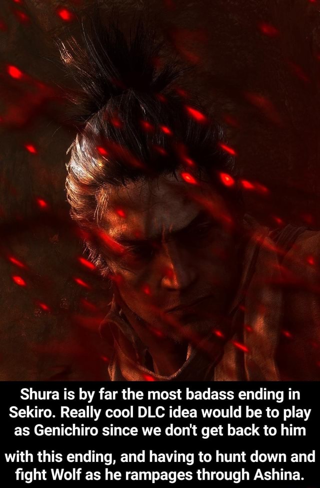 Shura Is By Far The Most Badass Ending In Sekiro Really Cool DLC Idea   B43b51aaa029bdd831a73fe15b9dabcd323571c6549b08c0fcba6926273fa790 1 