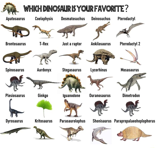 WHICH DINOSAUR IS YOUR FAVORITE ? Apatosaurus Coelophysis Desmatosuchus ...