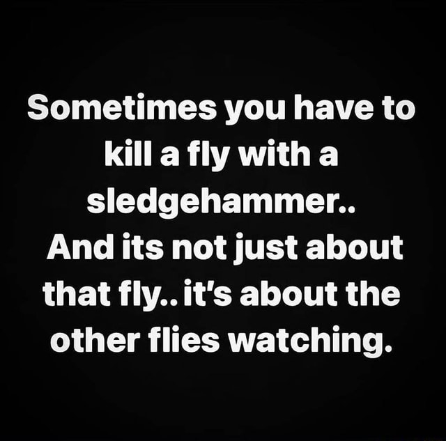 Sometimes you have to kill a fly with a sledgehammer.. And its not just  about that fly.. it's about the other flies watching. - iFunny