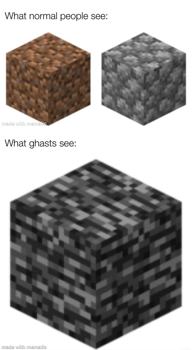 What normal people see What ghasts see iFunny