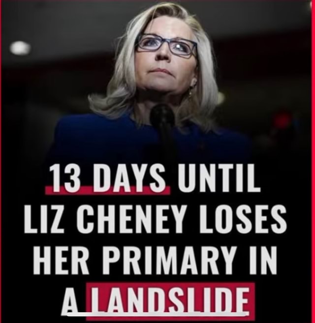 DAYS UNTIL LIZ CHENEY LOSES HER PRIMARY IN A LANDSLIDE - IFunny