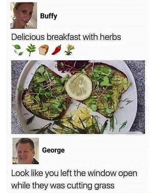 Delicious breakfast with herbs peace Look like you left the window open