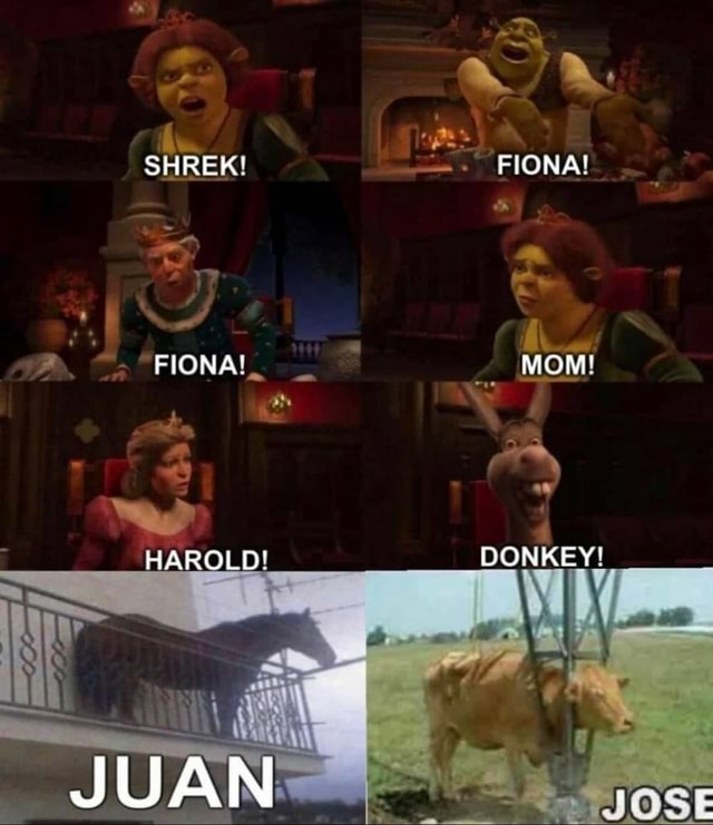 SHREK! FIONA! FIONA! MOM! HAROLD! DONKEY! JUAN - iFunny