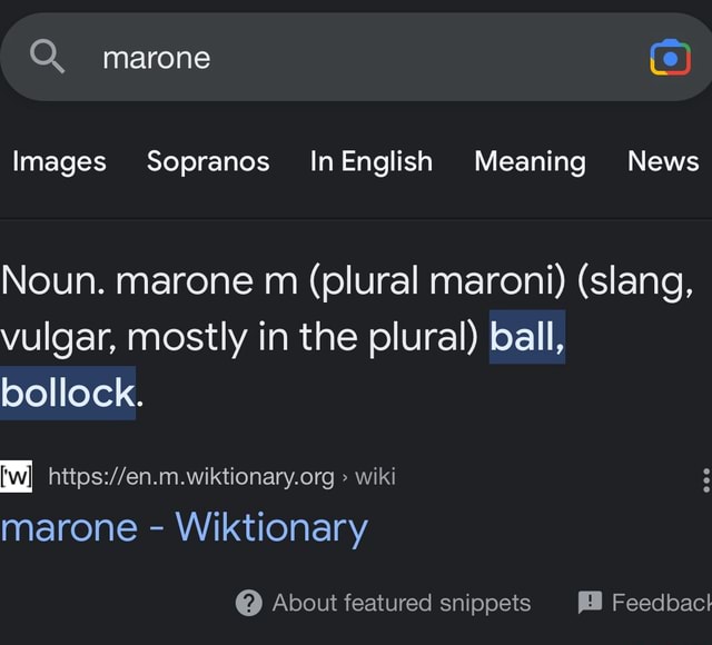 Marone Images Sopranos InEnglish Meaning News Noun. marone m (plural