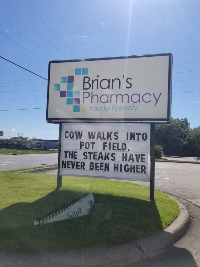 Brian's COW WALKS INTO POT FIELD. THE STEAKS HAVE NEVER BEEN HIGHER iFunny Brazil