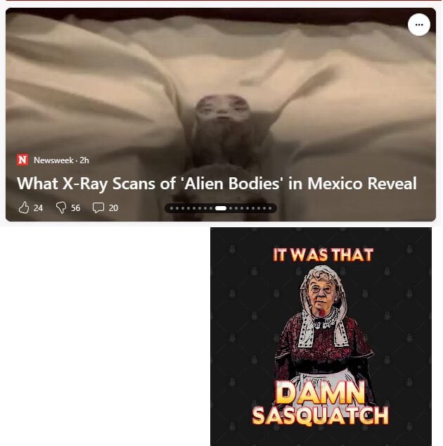 IN Newsweek: What X-Ray Scans of 'Alien Bodies' in Mexico Reveal Su Ss ...