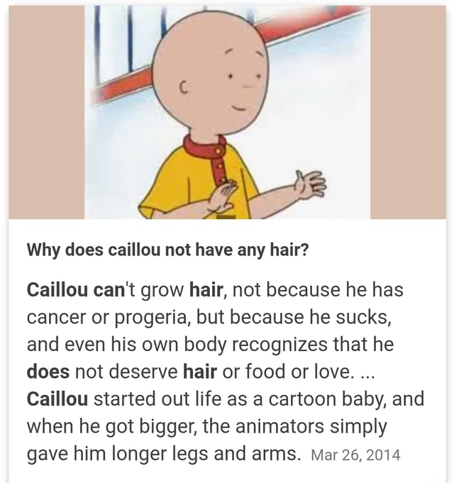 Why does caillou not have any hair? Caillou can't grow hair, not because he  has cancer or progeria, but because he sucks, and even his own body  recognizes that he does not