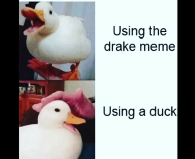 Using the drake meme Using a duck - )