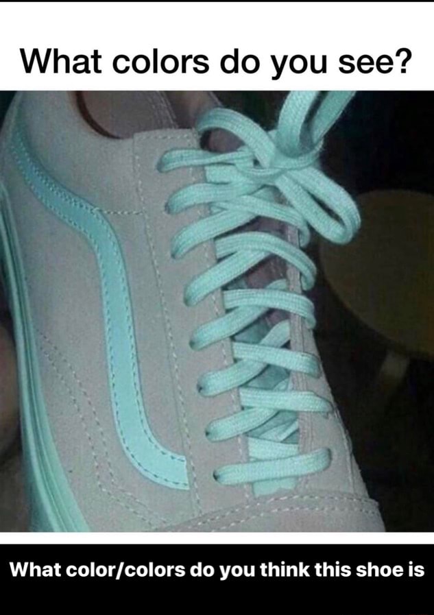 What colors do you see? What color/colors do you think this shoe is - What color/colors do you ...