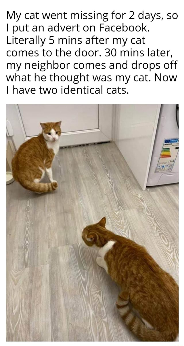 My cat went missing for 2 days, so I put an advert on Facebook
