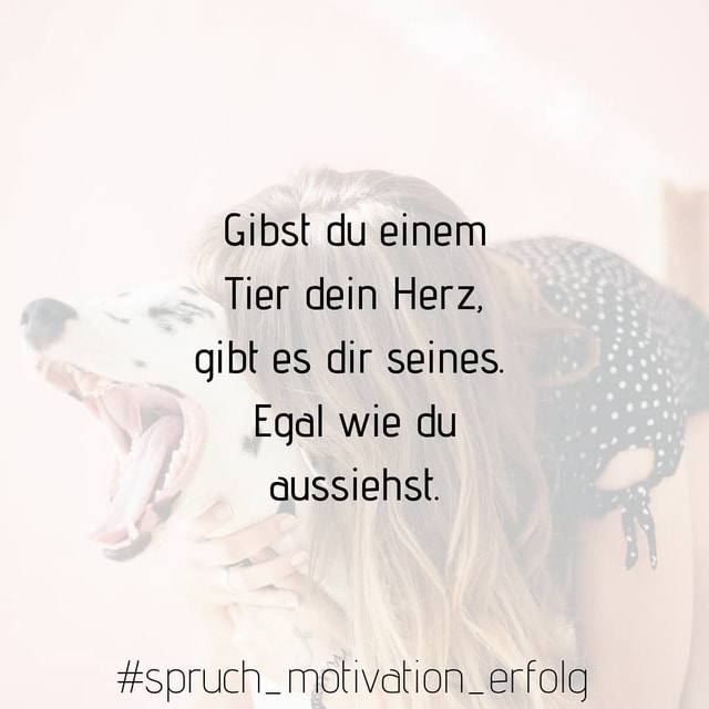 Gibst du einem Tier dein Herz, gibt es dir seines. Egal wie du SUSI Keke