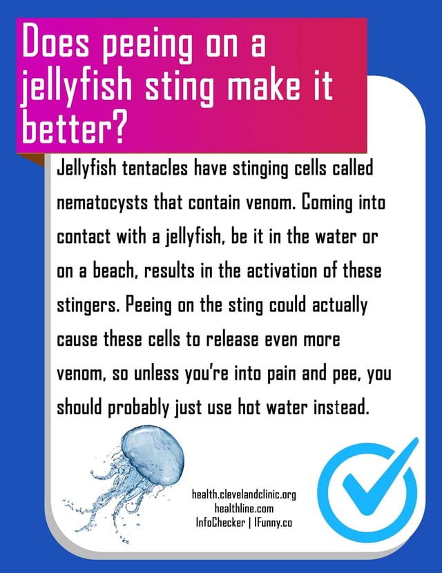 Does peeing on better? jellyfish sting make it Jellyfish tentacles have