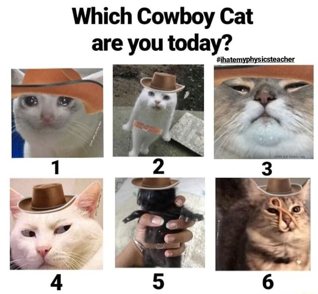 Which Cowboy Cat Are You Today